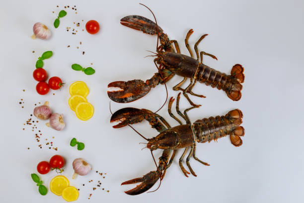 istock Fresh lobsters isolated on white background with spices. 1226995254
