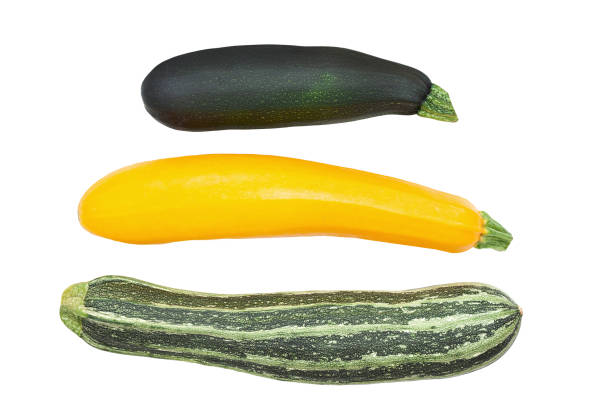 istock Zucchini isolated. Zucchini isolated white background. 1226995827