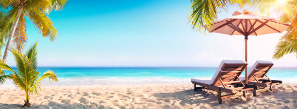 トロピカルビーチのヤシの木と椅子とパラソル - outdoor chair furniture travel vacations ストックフォトと画像