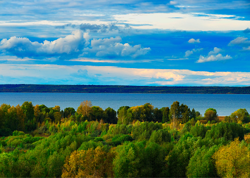 Vast river surrounded by forests landscape background