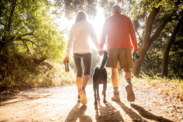 coppia senior attiva walking with dog sul sentiero naturalistico - hiking senior adult exercising outdoors foto e immagini stock