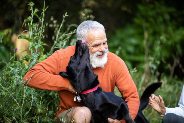 active senior man with his dog - animal varón fotografías e imágenes de stock