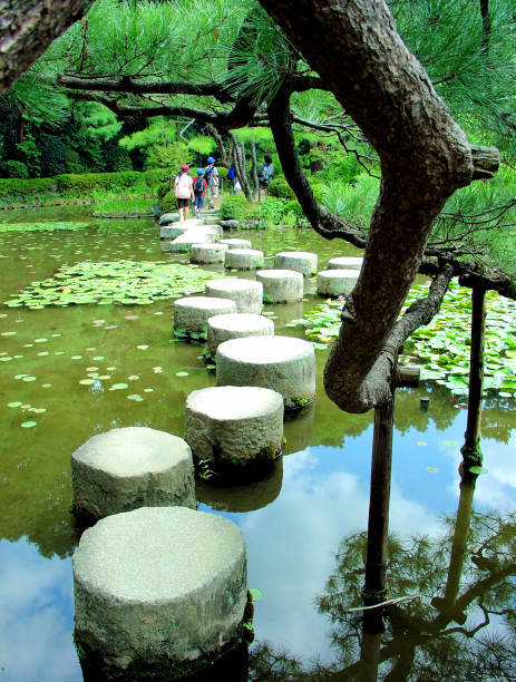 jardim do santuário heian (kyoto, japão) - footpath tree japan stepping stone - fotografias e filmes do acervo