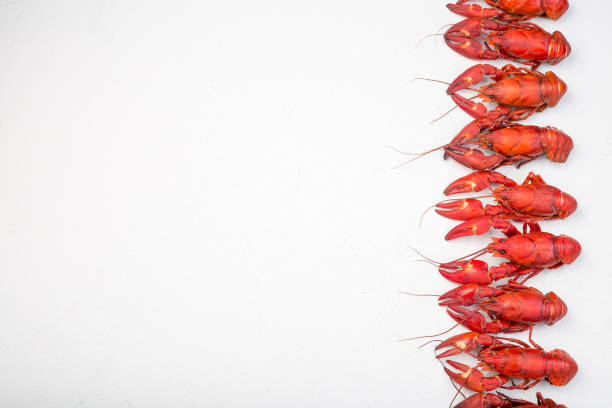 Crawfish, white background, close-up