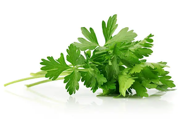 green leaves of parsley isolated on white background