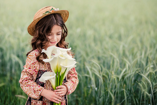 Cute little girl looking at bouquet of flowers in her hands while standing in the fields of wheat