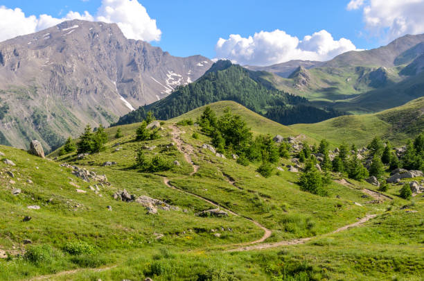 istock Landascape of Col de Vars 1227008966