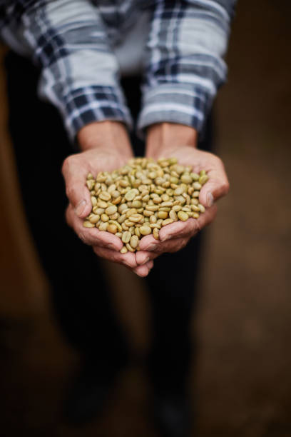 Dry coffee beans