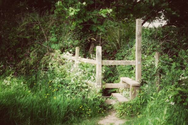 istock Wooden Country Stile 1227011232