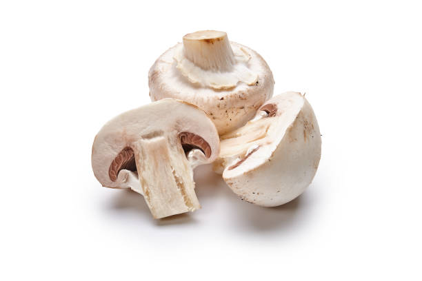 Cтоковое фото Белые грибы лежат на белом фоне