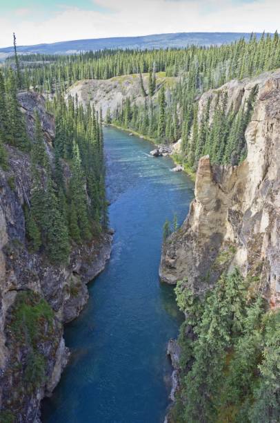 istock Lapie river canyon in Yukon, Canada 1227011807