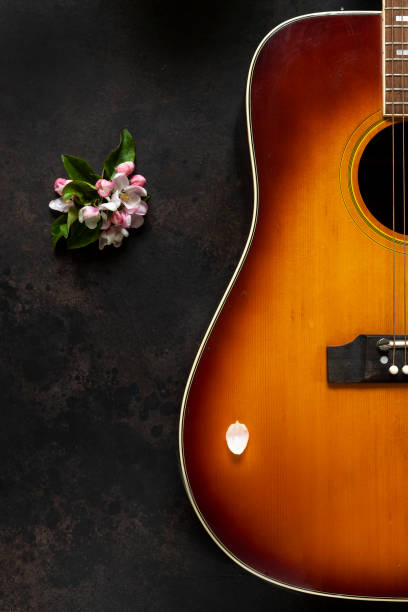 istock Acoustic guitar and apple tree flowers on dark brown background 1227014876