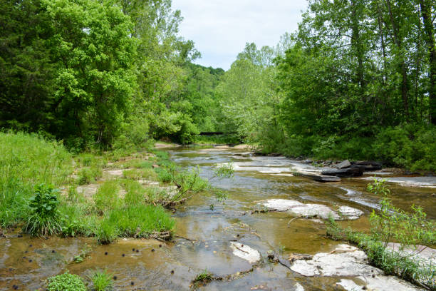 Bridge across a shallow creek on a summer day.