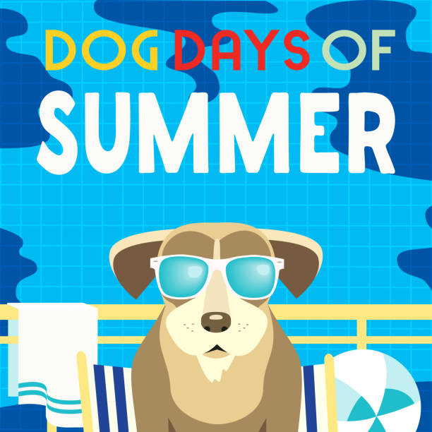 hund tage des sommers comic cartoon vektor poster - relaxation vacations heat sunglasses stock-grafiken, -clipart, -cartoons und -symbole