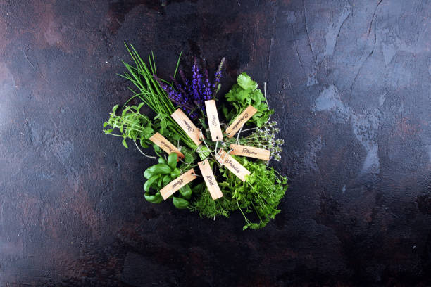 istock Fresh herbs lay on a rustic background. Basil, flower sage, thyme, oregano, dill, chives, parsley and coriander. 1227019959