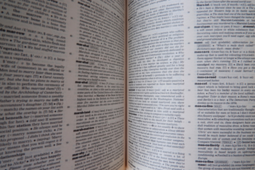 Blur image of the old dictionary pages. Abstract blurred and defocused. Background for cultural needs. Top view.