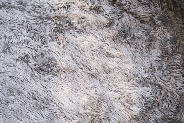 istock Close view long hair grey carpet rug texture 1227022587