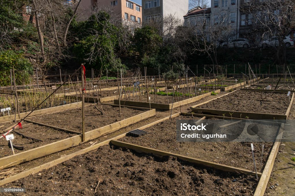 Empty communal city garden as it is winter in Kuzguncuk, Istanbul. Active Lifestyle Stock Photo