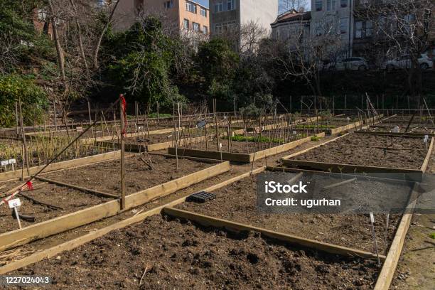 Empty Communal City Garden As It Is Winter In Kuzguncuk Istanbul Stock Photo - Download Image Now