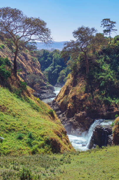 Scenic view of canyon and Blue Nile Falls. Waterfall on the Blue Nile river. Nature and travel. Ethiopia, Amhara Region near Bahir Dar and Lake Tana blue nile stock pictures, royalty-free photos & images