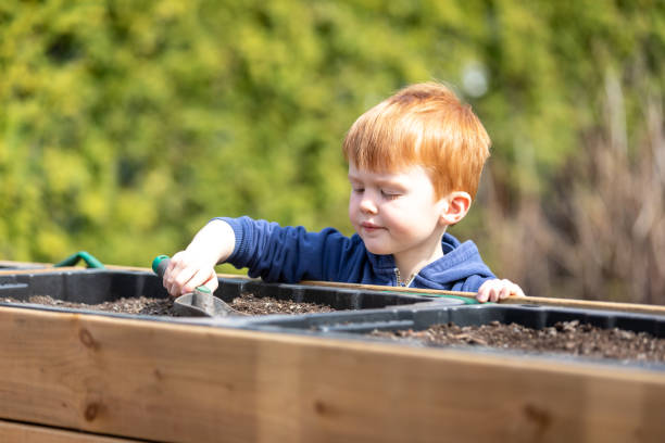 istock Cute Kid Gardening While Quarantined at Home During Springtime 1227025278