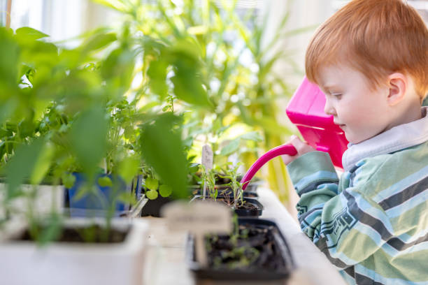 istock Cute Kid Watering Indoor Garden at Home During Springtime 1227025448