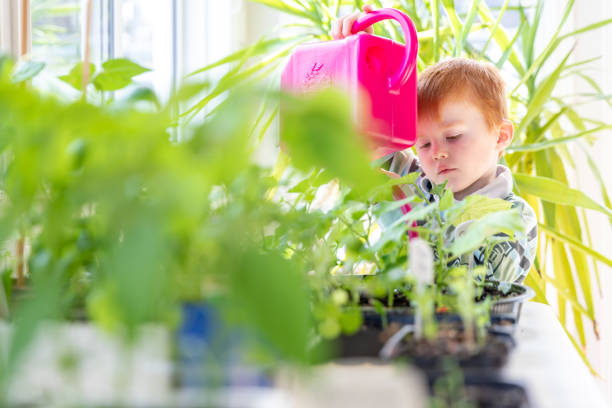istock Cute Kid Watering Indoor Garden at Home During Springtime 1227025523