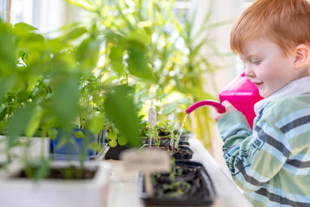 istock Cute Kid Watering Indoor Garden at Home During Springtime 1227025560