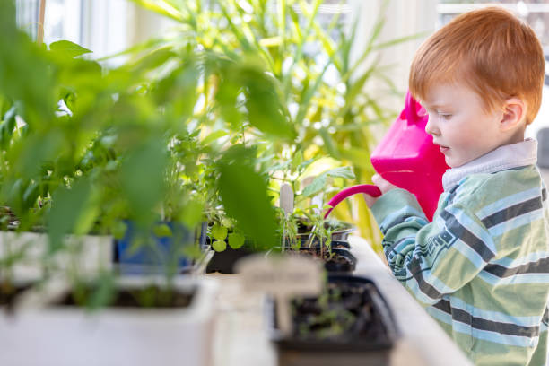 istock Cute Kid Watering Indoor Garden at Home During Springtime 1227025796
