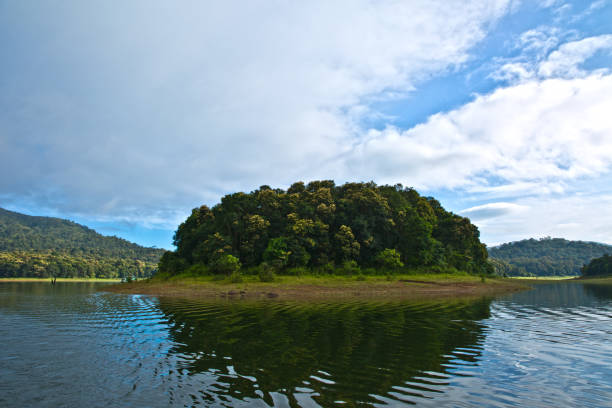 A river island in the Periyar National Park. A beautiful dense island formed in the middle of the Periyar Lake - Periyar National Park and Wildlife Sanctuary, Idukki District, Kerala\India periyar wildlife sanctuary stock pictures, royalty-free photos & images