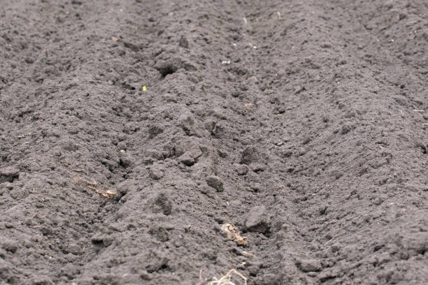 istock fertile black soil, closeup, selective focus 1227027999