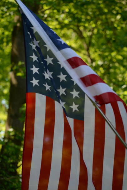 istock American Flag Waving 1227030717