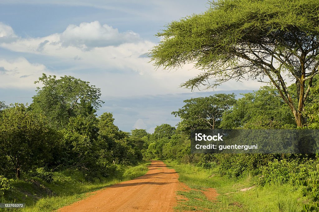 A long dirt road in rural Africa A typcial unpaved road in a rural part of Western Tanzania, close to the border to Burundi and the Democratic Republic of Congo.  Democratic Republic of the Congo Stock Photo