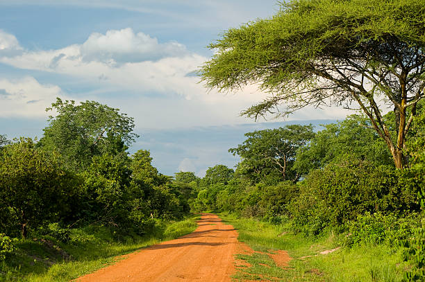 A long dirt road in rural Africa A typcial unpaved road in a rural part of Western Tanzania, close to the border to Burundi and the Democratic Republic of Congo.  burundi east africa stock pictures, royalty-free photos & images
