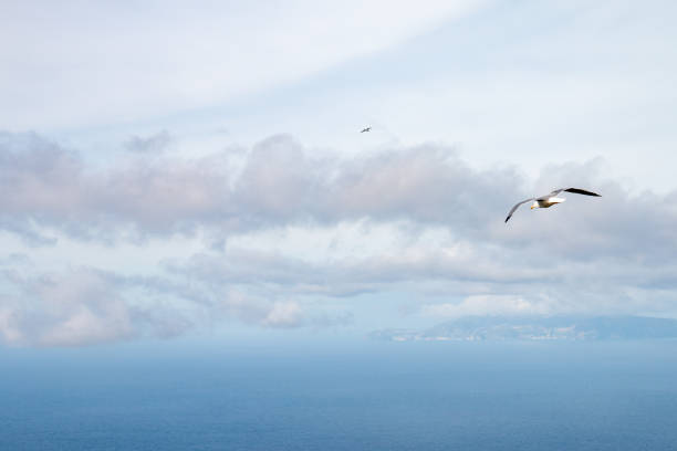 Mainland Italy can be seen in the background