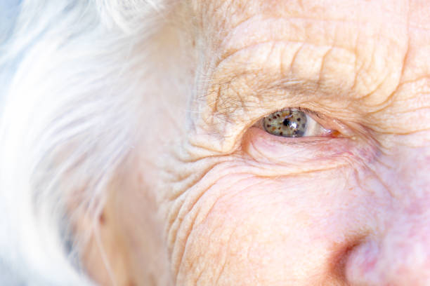 beautiful, sharp, intelligent elderly senior caucasian woman's unique speckled pretty eyes and face in the summer outdoors - macular degeneration imagens e fotografias de stock