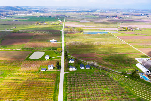 istock Blooming orchard in spring at Niagara falls area, Ontario, Canada 1227037863