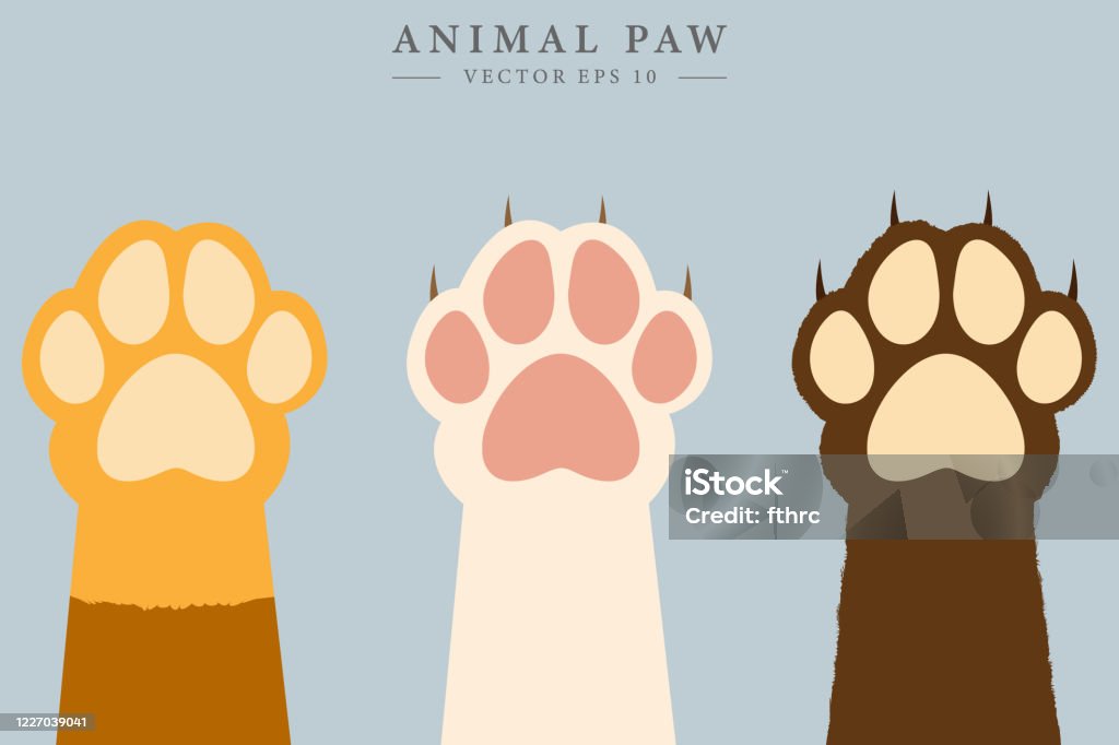 Colorful Animal Paws Animal Claw Concept Vector Drawing Stock Illustration  - Download Image Now - iStock