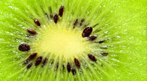 istock Slice of kiwi fruit on a full frame. Fresh juicy fruit slice closeup. 1227039155