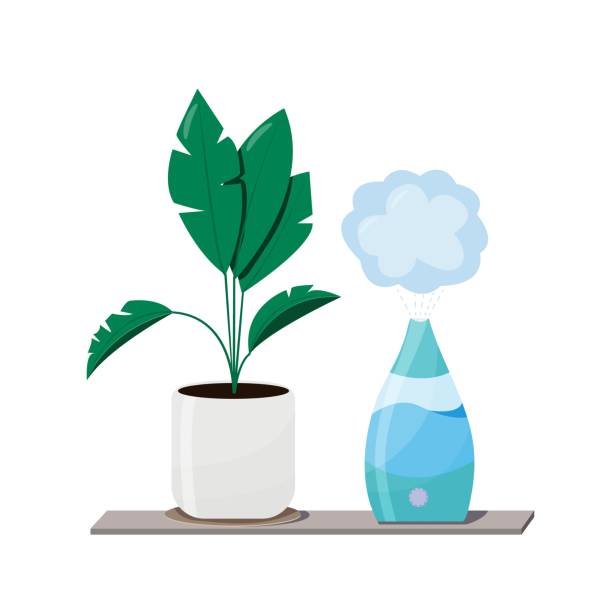 ilustraciones, imágenes clip art, dibujos animados e iconos de stock de humidificador y plantas equipo para el hogar u oficina. purificador de aire en la ilustración vectorial interior con planta de la casa. limpieza del aire y humidificación idea para la casa. - humidifier steam home interior appliance