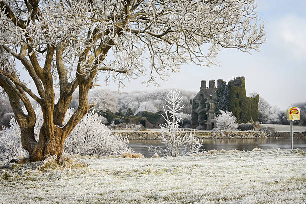 trees and castle ruins covered by frost