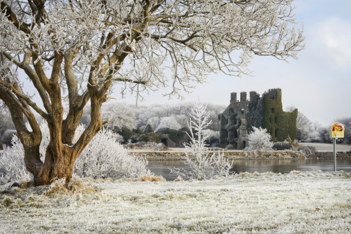 trees and Irish castle ruins covered by frost on the bank of the Corrib river