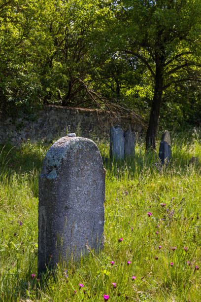 istock Very old abandoned Jewish cemetery 1227044961