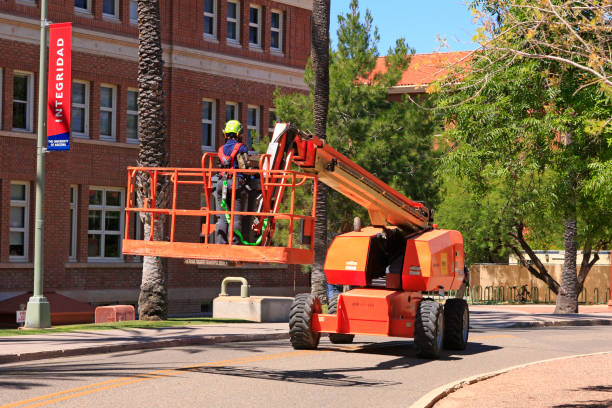 kobieta jazdy cherry picker wokół kampusu university of arizona w tucson przycinanie palmy - crane mobile crane derrick crane construction vehicle zdjęcia i obrazy z banku zdjęć