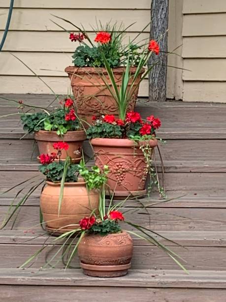 istock Flower pot family 1227045747