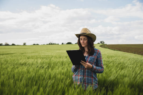 istock Female plant researchers are checking and taking notes in wheat fields 1227051533