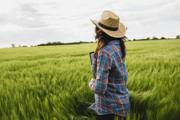 istock Female plant researchers are checking and taking notes in wheat fields 1227051538