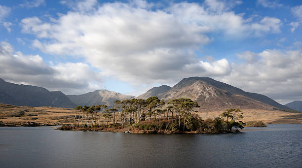 istock Landscape with mountains and sky reflected in lake 122705324