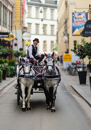 Vienna, Austria - May 29, 2020: The frontal view of horse carriage on Viennese street.