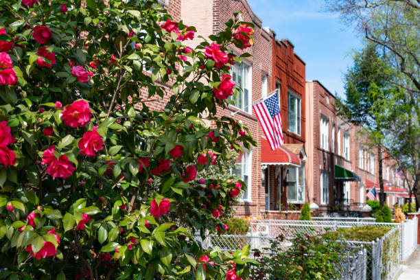 Beautiful Pink Flowers during Spring along a Row of Old Brick Homes with an American Flag in Astoria Queens New York A closeup of beautiful pink flowers during spring along a neighborhood sidewalk with old brick homes and an American flag in Astoria Queens New York queens new york city stock pictures, royalty-free photos & images